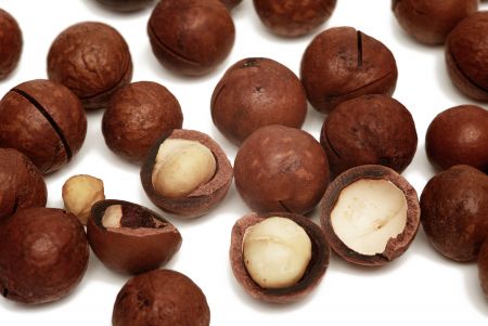 Macadamia ternifolia seed oil contains nourishing and moisturizing properties that promote smooth, healthy hair. It also effectively treats dry and damaged hair